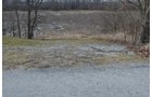 Property photo 4 - East Allen County Land Auction - 40 Acres in 2 Tracts